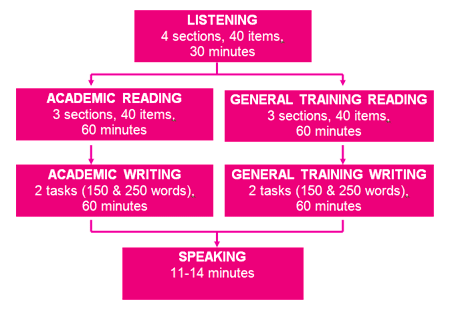 IELTS Module